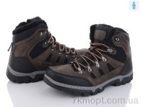 Купить Ботинки(зима)  Ботинки Baolikang MX2323 coffee
