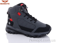 Купить Ботинки(зима) Ботинки Bonote B9023-5