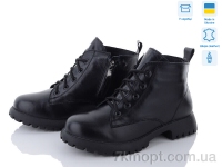 Купить Ботинки(весна-осень) Ботинки Fat Fox-Tamei 2302-12