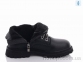 Купить Ботинки(весна-осень) Ботинки Violeta Y110(7619) black