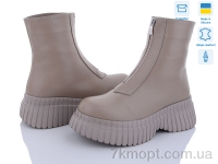 Купить Ботинки(зима) Ботинки Ailinda 805-26M