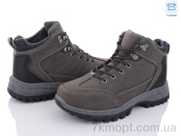 Купить Ботинки(весна-осень) Ботинки BDDS LL119 grey