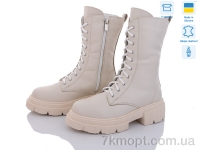Купить Ботинки(зима) Ботинки Fat Fox-Tamei 2368-1