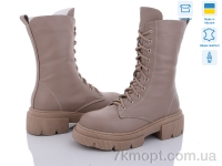 Купить Ботинки(зима) Ботинки Fat Fox-Tamei 2368-8