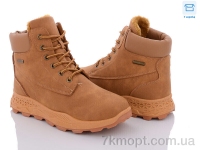 Купить Ботинки(зима)  Ботинки Hongquan J779-3