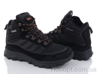 Купить Ботинки(зима)  Ботинки Kajila A9106-3