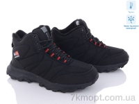 Купить Ботинки(зима)  Ботинки Kajila A9146-2 термо