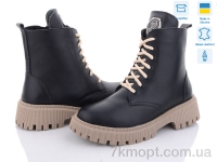 Купить Ботинки(зима) Ботинки KitShoes AA20-2
