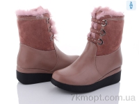 Купить Ботинки(зима) Ботинки Obuvok L99-C100-5