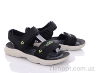 Купить Сандалии Сандалии Ok Shoes D8865-6