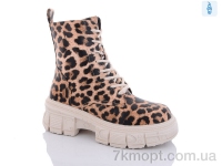 Купить Ботинки(зима) Ботинки Teetspace-Trasta-Egga QM372-53