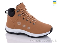 Купить Ботинки(зима) Ботинки Swin 6648-3