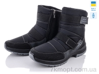 Купить Ботинки(зима)  Ботинки Lvovbaza Paolla 366-6113