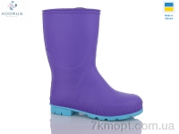 Купить Резиновая обувь Резиновая обувь Acorus СП2-2 фіолетовий
