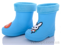 Купить Резиновая обувь Резиновая обувь Class Shoes HMY211 blue