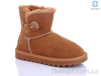 Купить Угги Угги Waldem W1-101-2 coffe