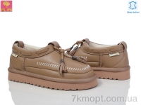 Купить Туфли Туфли PLPS 5851-1 camel