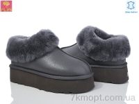 Купить Угги Угги PLPS 5802-1 grey