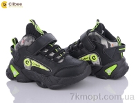 Купить Кроссовки  Кроссовки Clibee E79 black-green