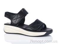 Купить Босоножки Босоножки Коронате C902