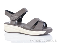 Купить Босоножки Босоножки Коронате C903-2