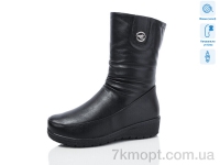 Купить Сапоги(зима) Сапоги Коронате H387