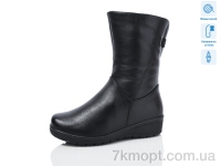 Купить Сапоги(зима) Сапоги Коронате H388