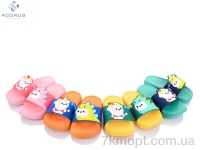 Купить Шлепки Шлепки Acorus 1004 mix