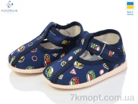 Купить Тапки Тапки Acorus 1009 синій