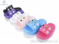 Купить Шлепки Шлепки Acorus 165 mix