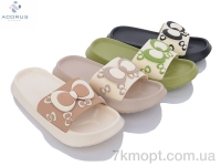 Купить Шлепки Шлепки Acorus 23-189 mix