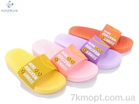 Купить Шлепки Шлепки Acorus 529 mix