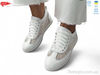 Купить Кроссовки Кроссовки ARTO 0508 біл.ш.