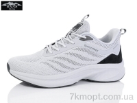 Купить Кроссовки Кроссовки Baas L1873-7