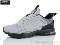 Купить Кроссовки Кроссовки Baas L1880-7C