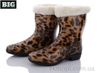 Купить Резиновая обувь Резиновая обувь BIG 196A