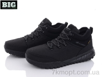 Купить Ботинки(зима)  Ботинки BIG 3390-A2582-1