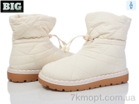 Купить Дутики Дутики BIG 3933-H93A68-11