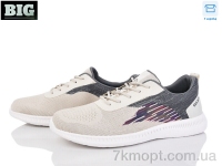 Купить Кроссовки Кроссовки BIG 4004-F532-6