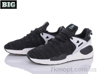 Купить Кроссовки Кроссовки BIG M818-11