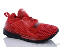 Купить Кроссовки Кроссовки CR A806-4