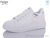 Купить Кроссовки Кроссовки Dageni 2018-66-2