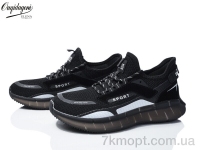 Купить Кроссовки Кроссовки Dageni A231-1