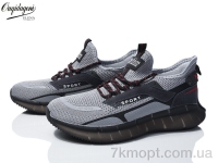 Купить Кроссовки Кроссовки Dageni A231-13