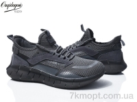 Купить Кроссовки Кроссовки Dageni A231-16