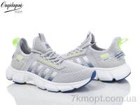 Купить Кроссовки Кроссовки Dageni A2391-14