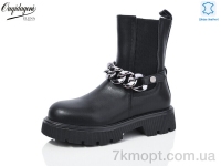 Купить Ботинки(весна-осень) Ботинки Dageni AP3365-1