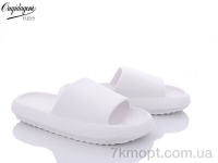 Купить Шлепки Шлепки Dageni C668-2