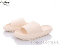 Купить Шлепки Шлепки Dageni C668-3