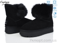 Купить Угги Угги Dageni HA1801-1